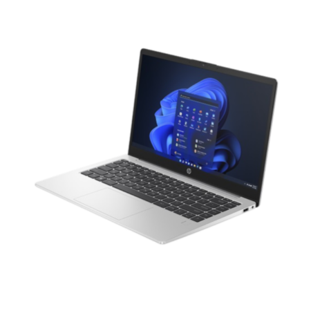 HP 250G10 i5-1334U 8GB/512Go FreeDOS Gris