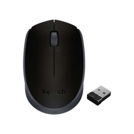 Souris Sans Fil LOGITECH M171